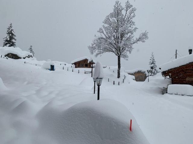 Griesalp Hotels Kiental Extérieur photo